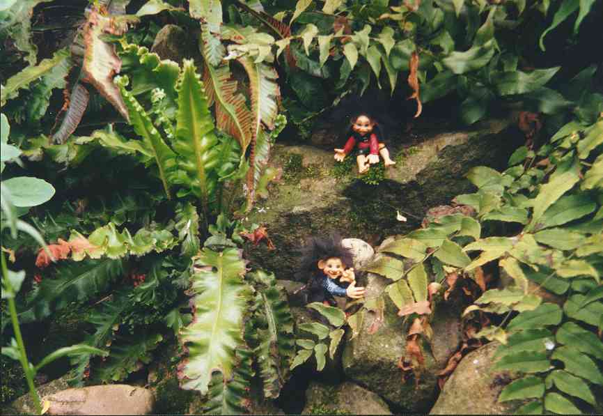 Kobolde in unserem Garten