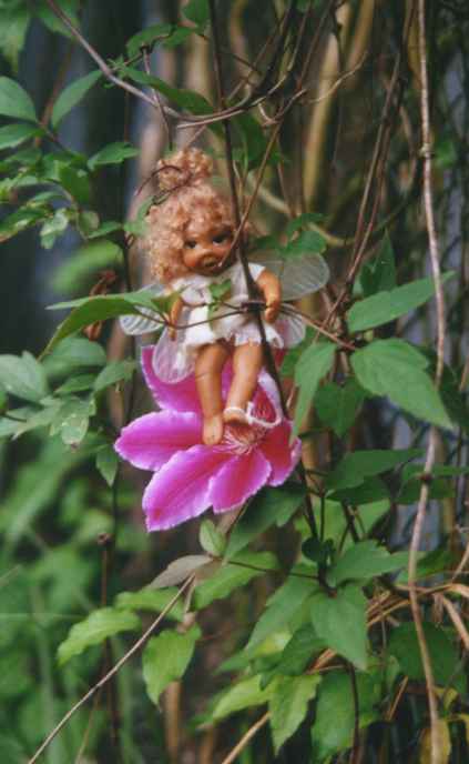 Eine kleine Elfe in unserem Garten