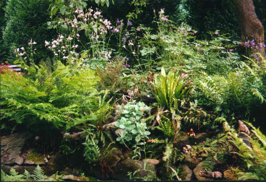 Kobolde in unserem Garten (Zum Vergrößern anklicken)